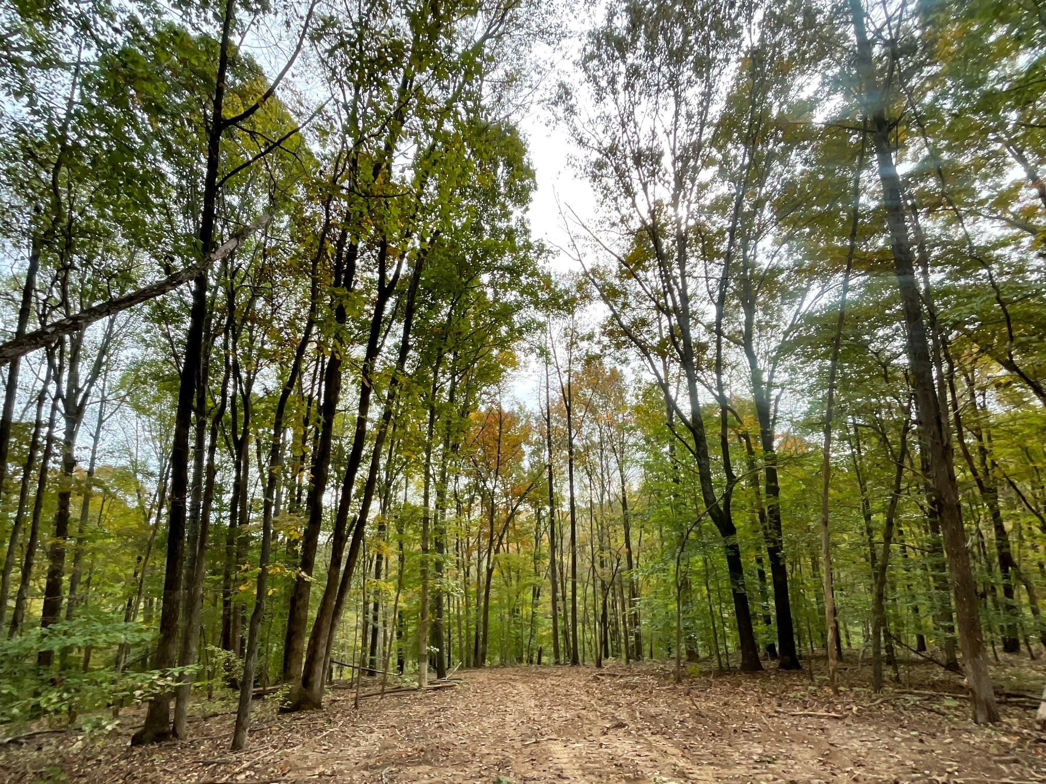 1 Budds Creek Road Palmyra TN 37142