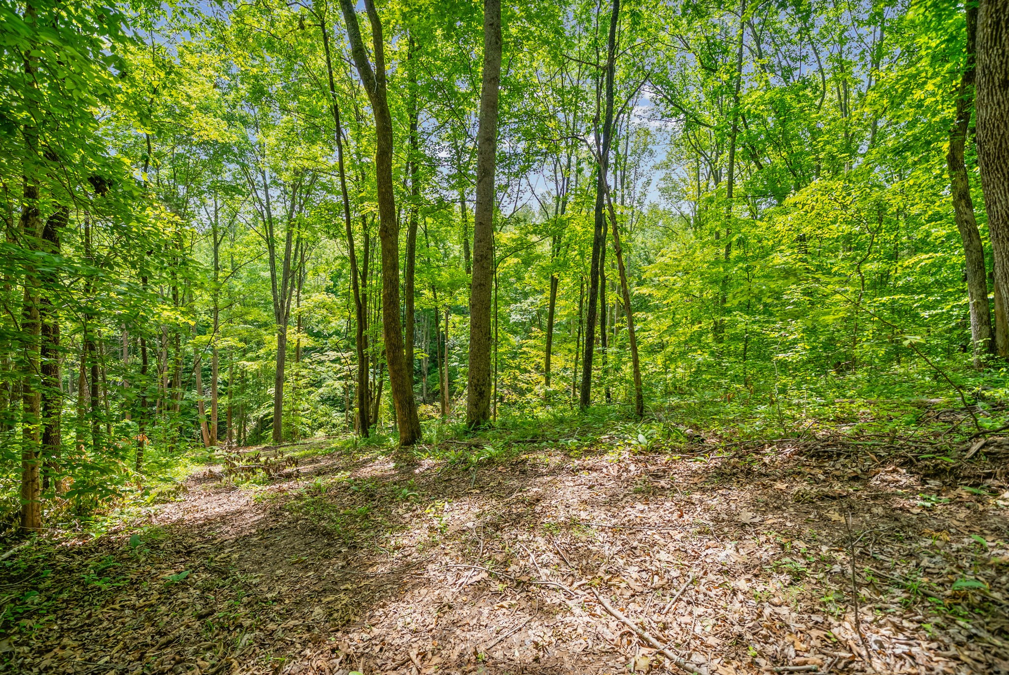 1 Budds Creek Road Palmyra TN 37142