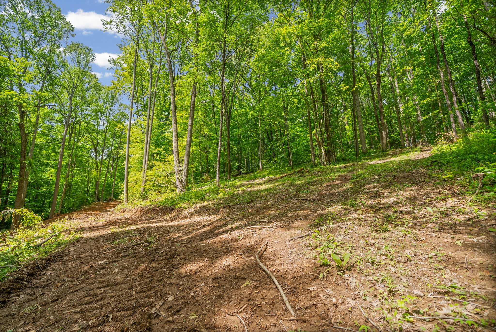 1 Budds Creek Road Palmyra TN 37142