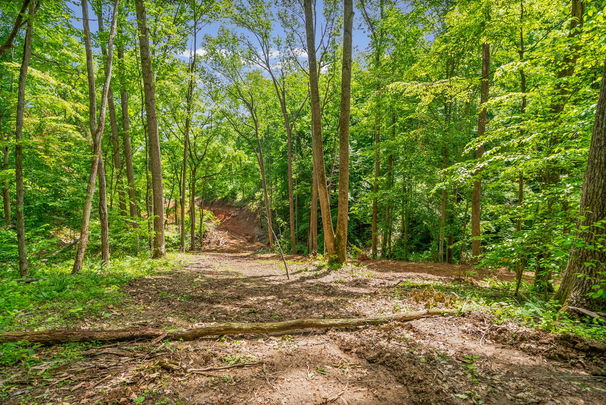 1 Budds Creek Road Palmyra TN 37142