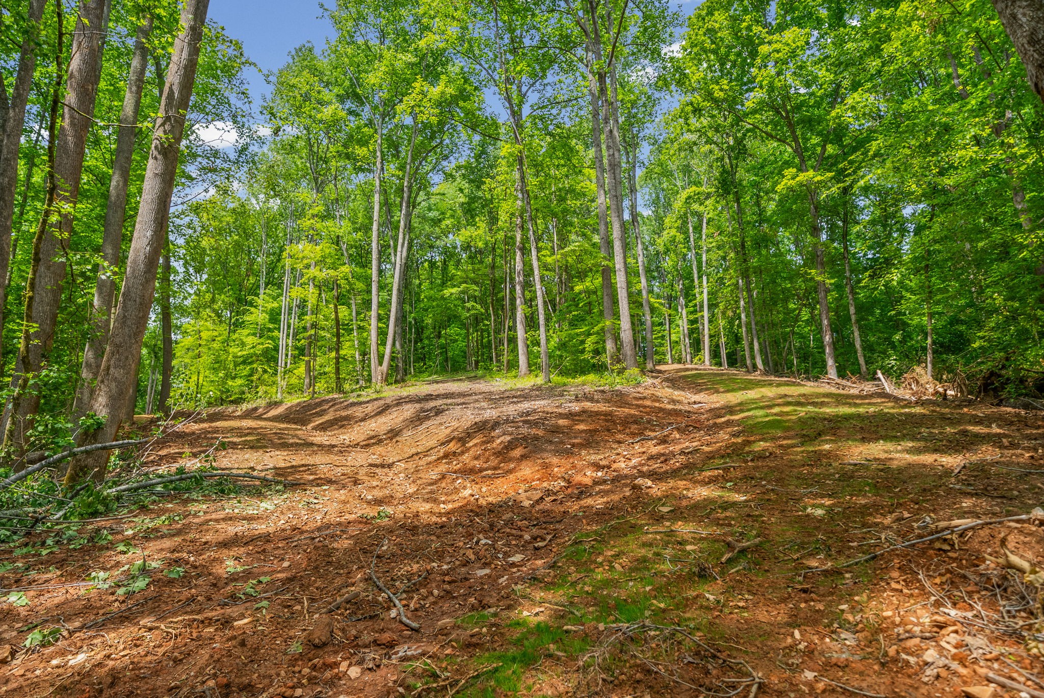 1 Budds Creek Road Palmyra TN 37142
