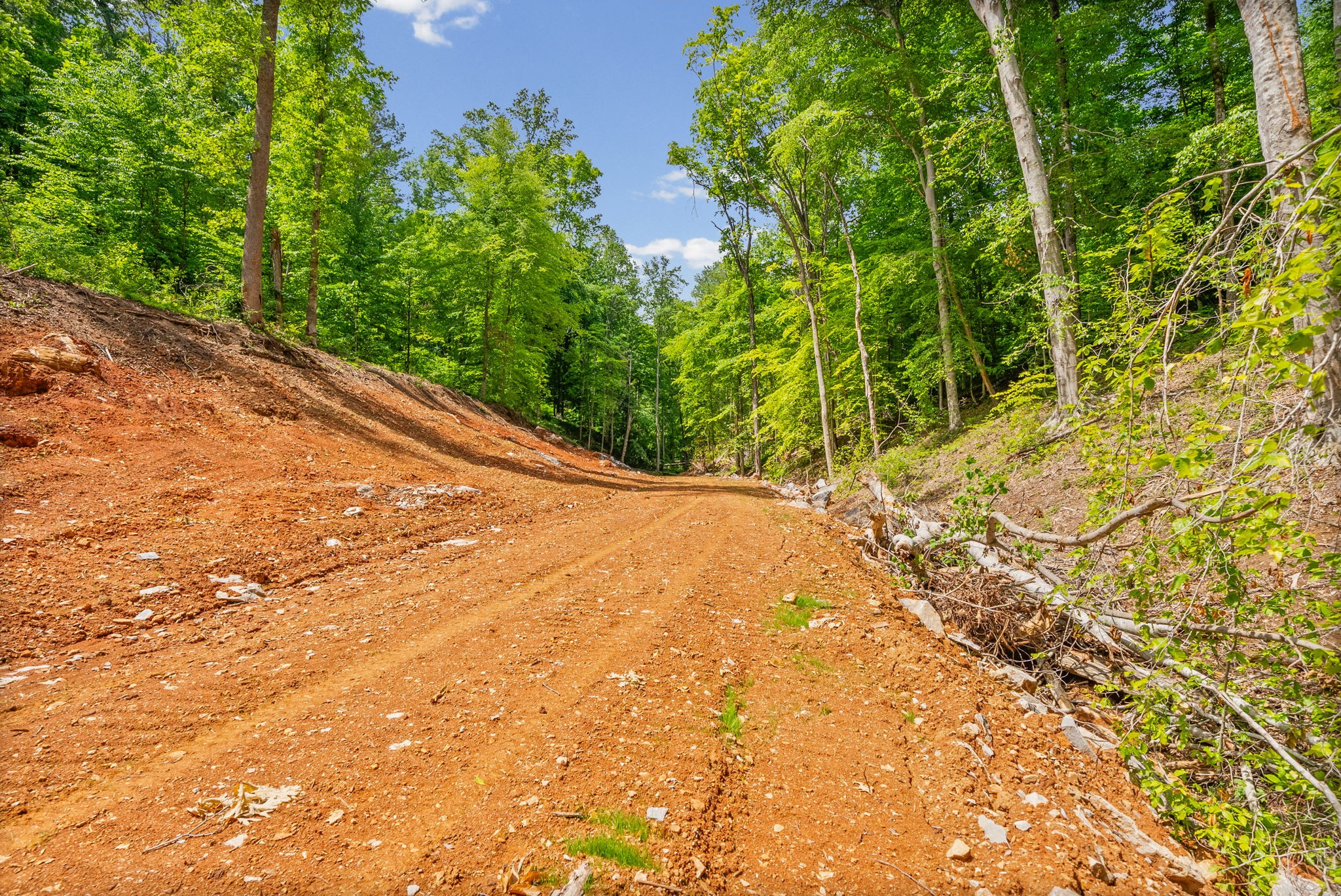 1 Budds Creek Road Palmyra TN 37142