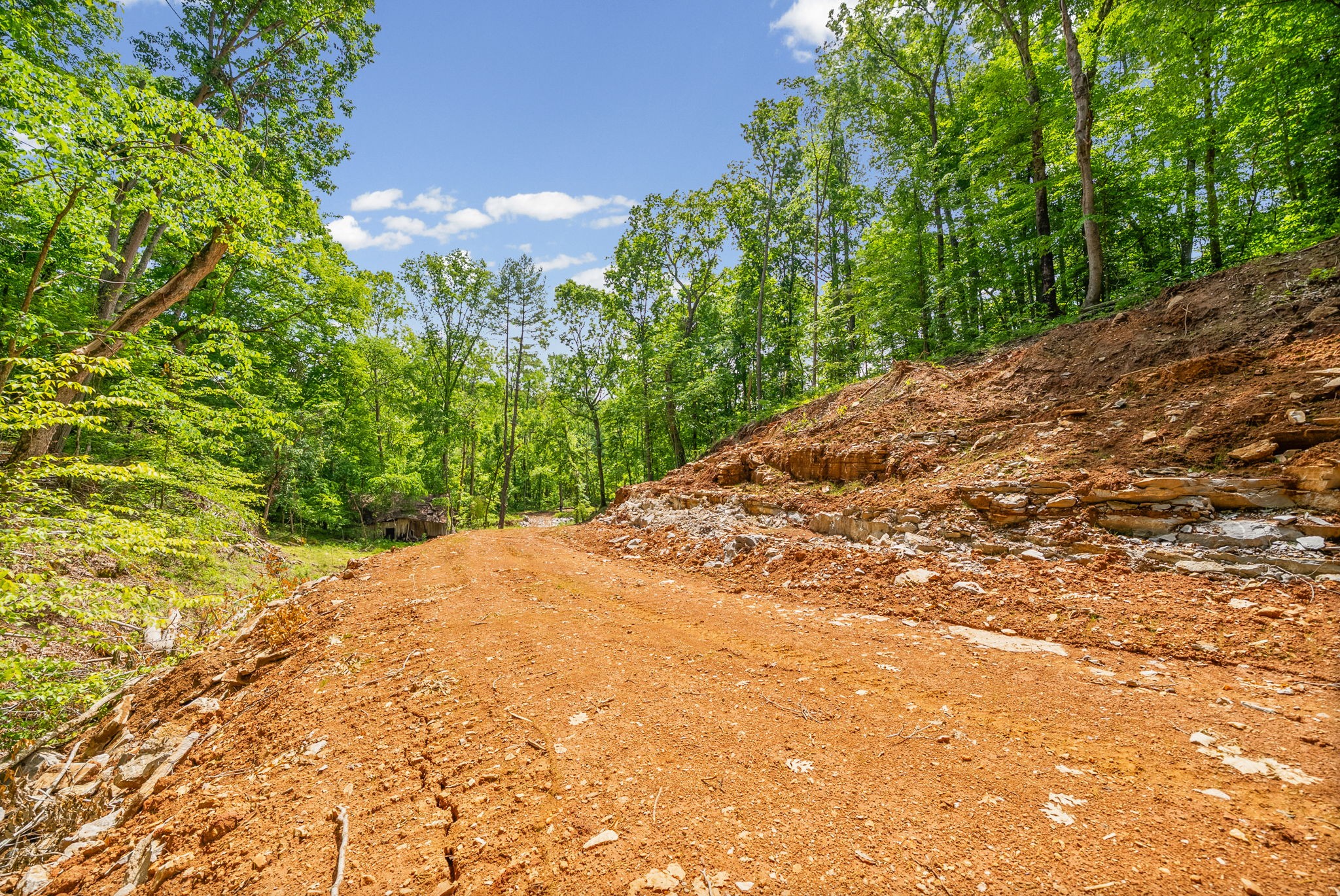 1 Budds Creek Road Palmyra TN 37142