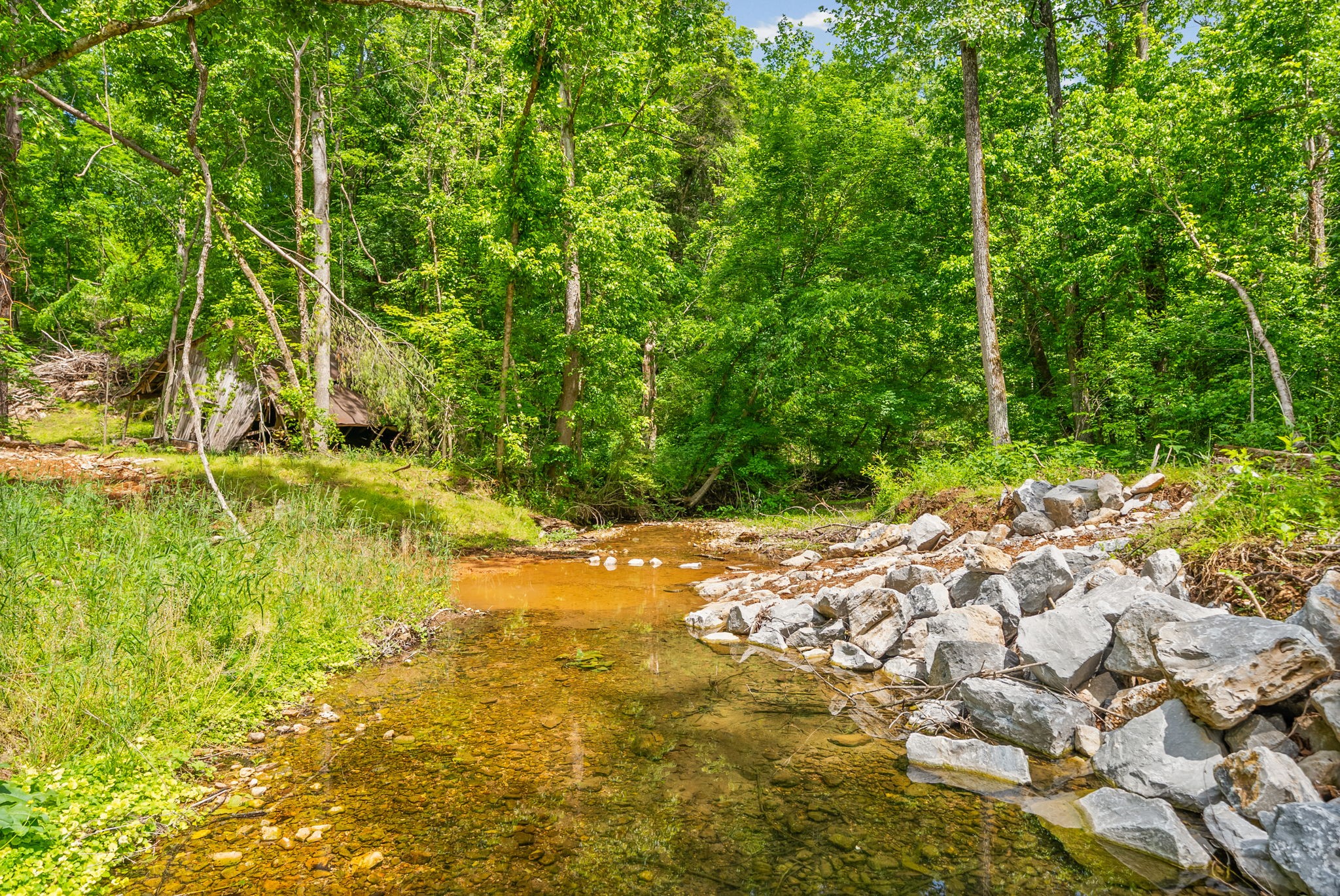 1 Budds Creek Road Palmyra TN 37142
