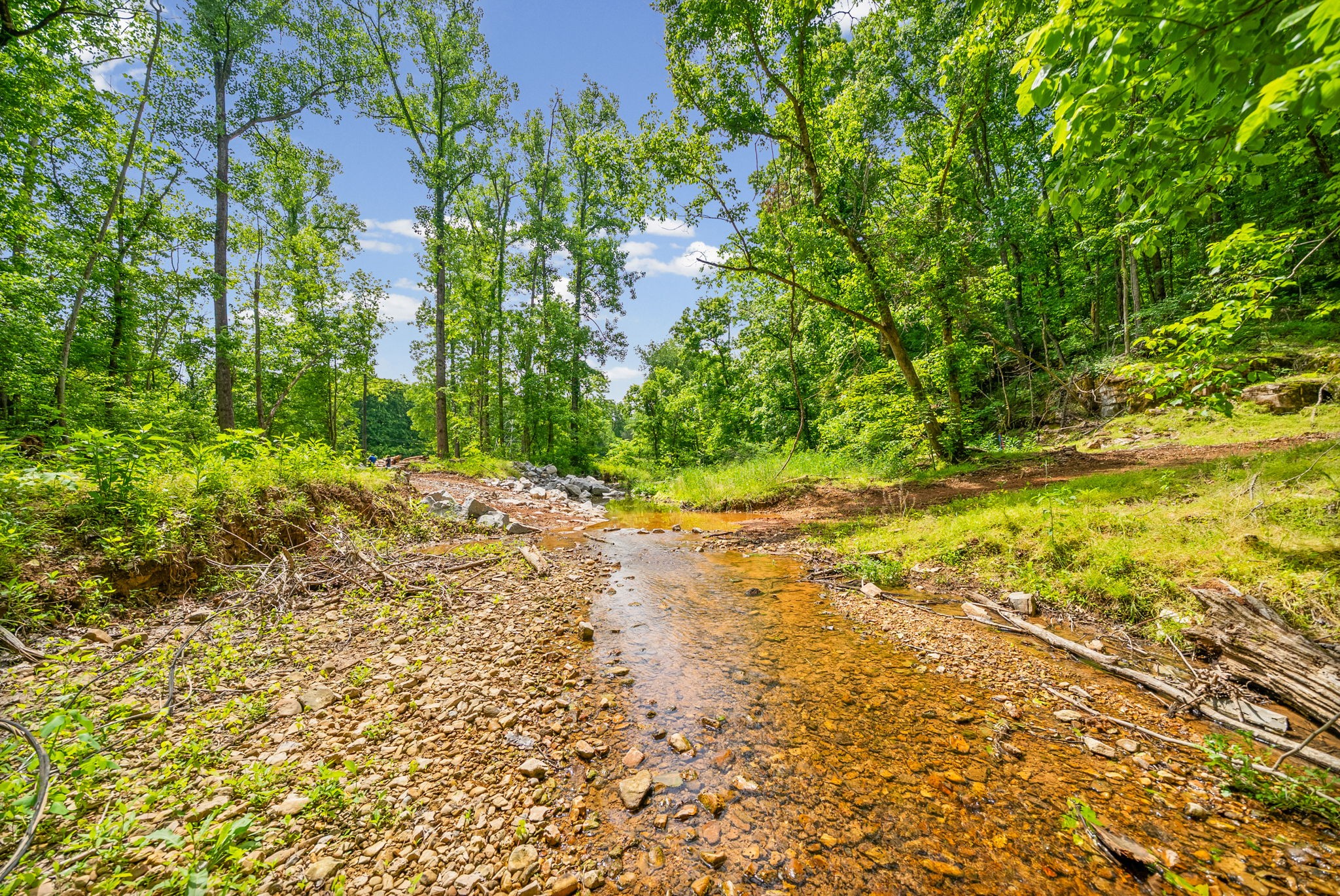 1 Budds Creek Road Palmyra TN 37142