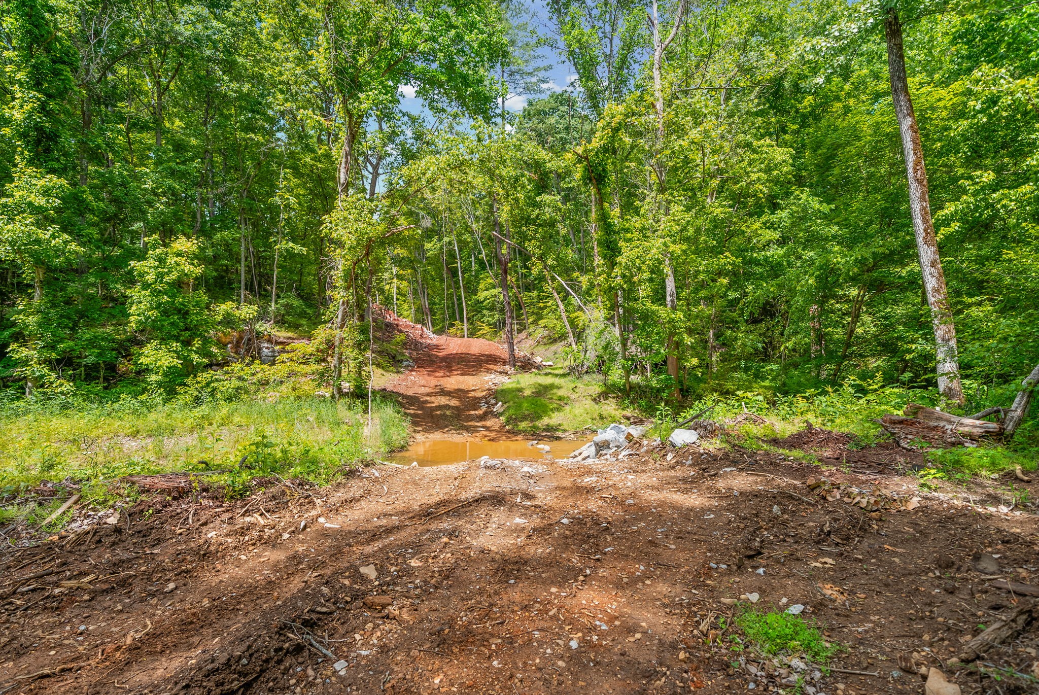 1 Budds Creek Road Palmyra TN 37142