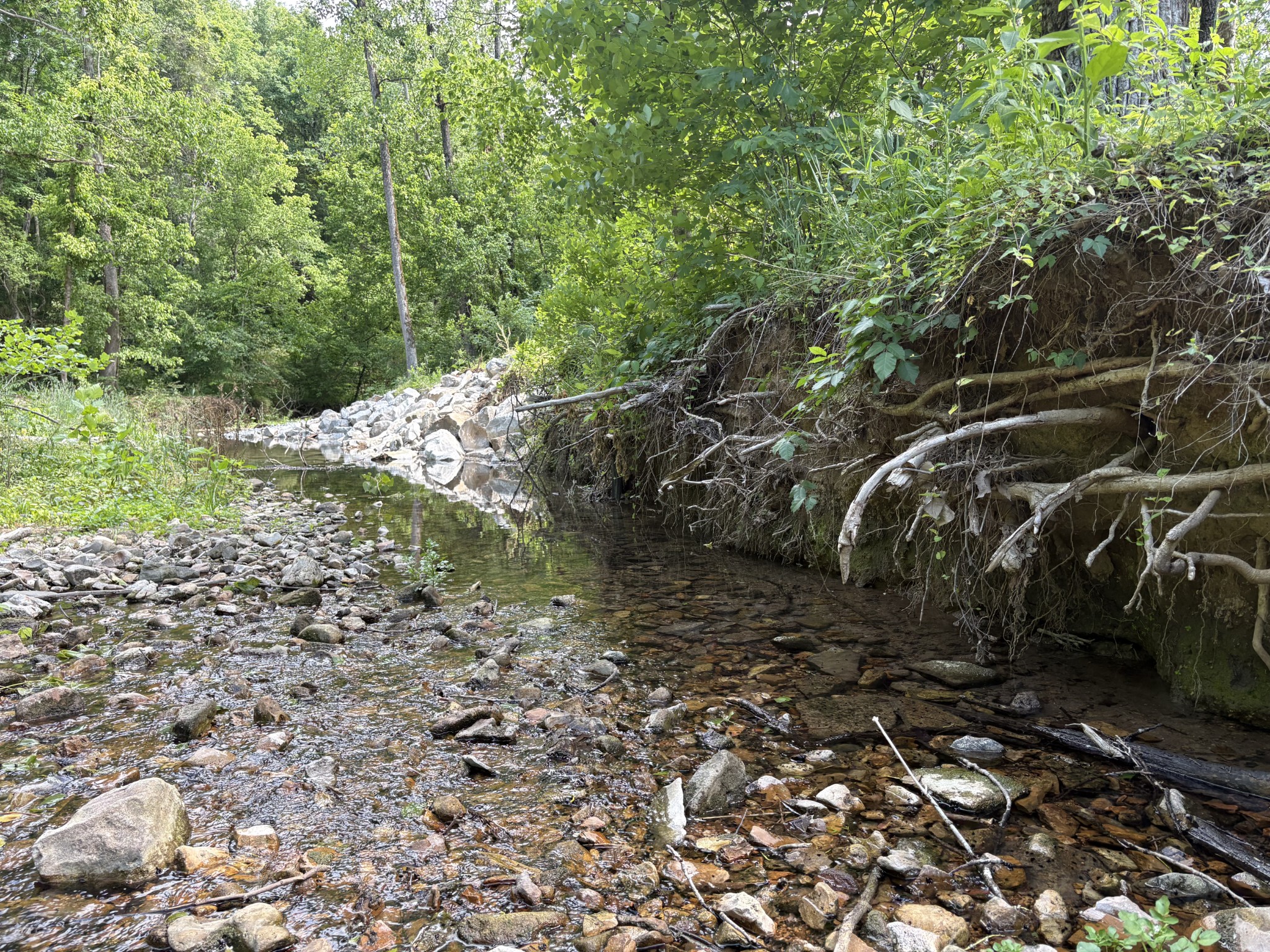 1 Budds Creek Road Palmyra TN 37142
