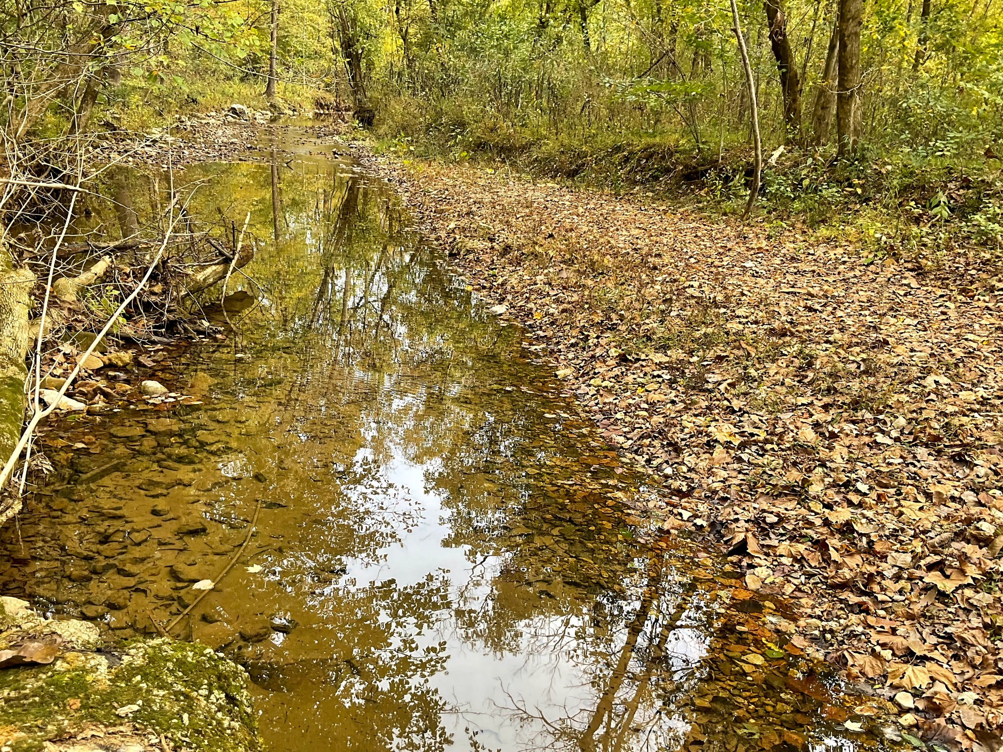 1 Budds Creek Road Palmyra TN 37142