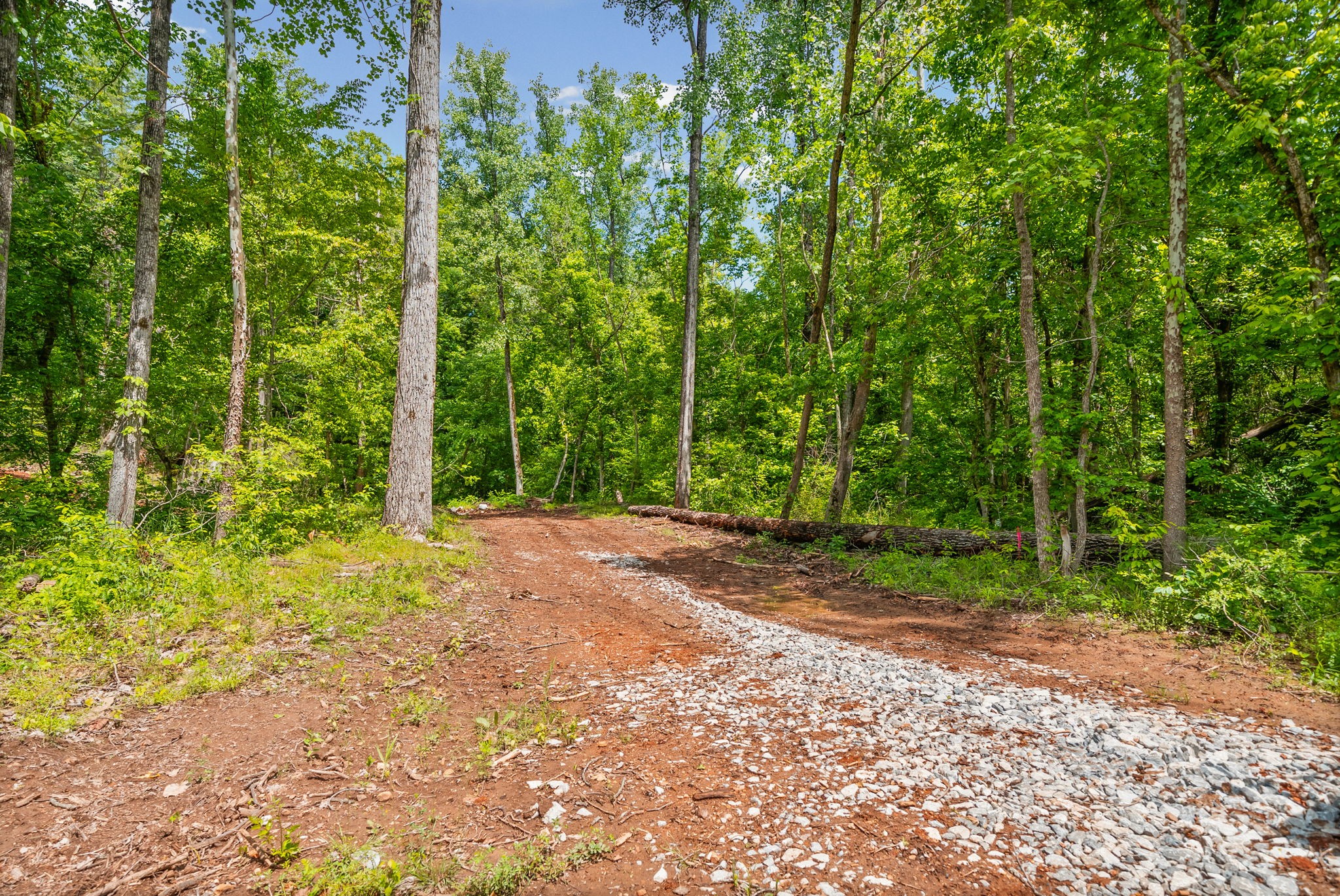 1 Budds Creek Road Palmyra TN 37142