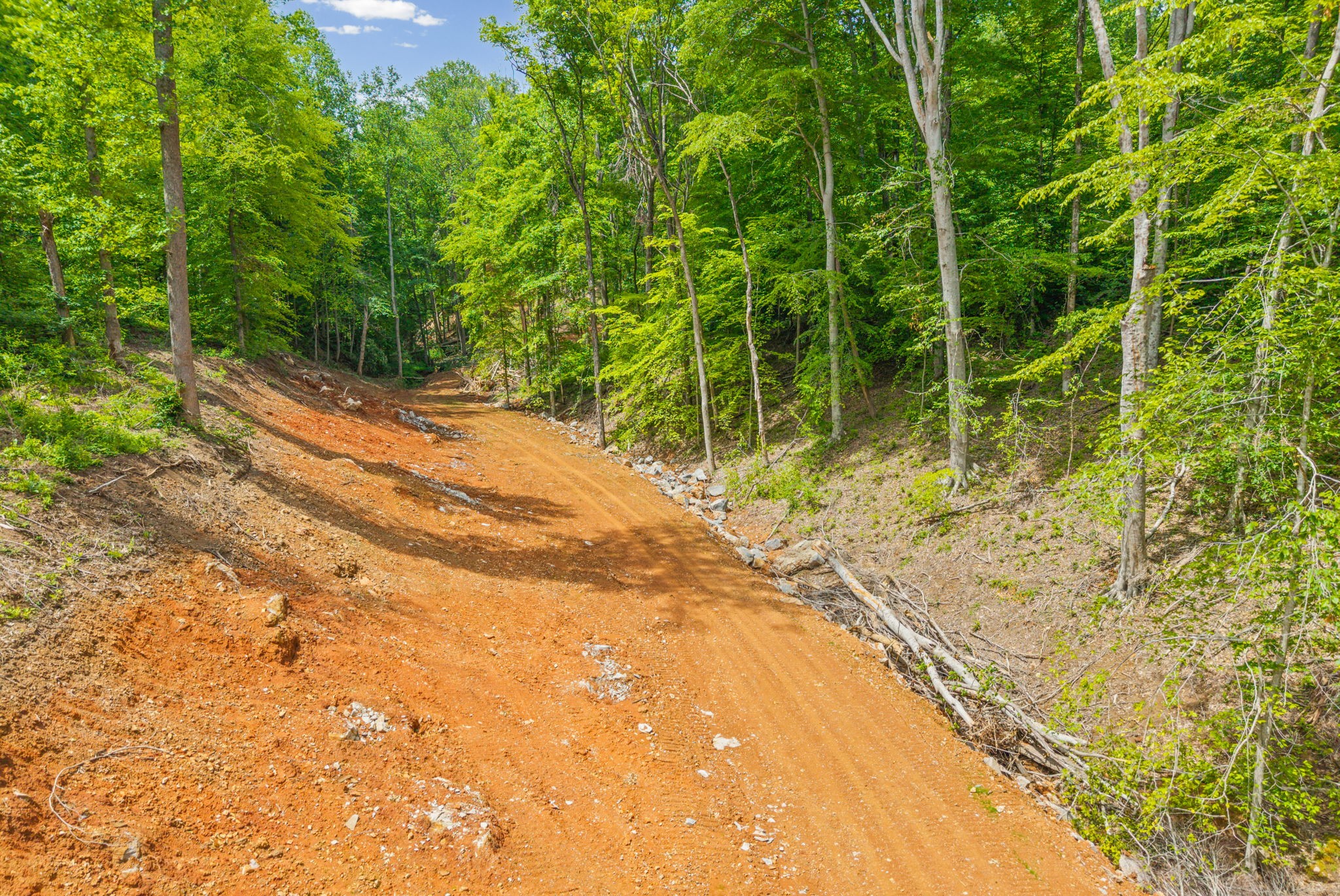 1 Budds Creek Road Palmyra TN 37142
