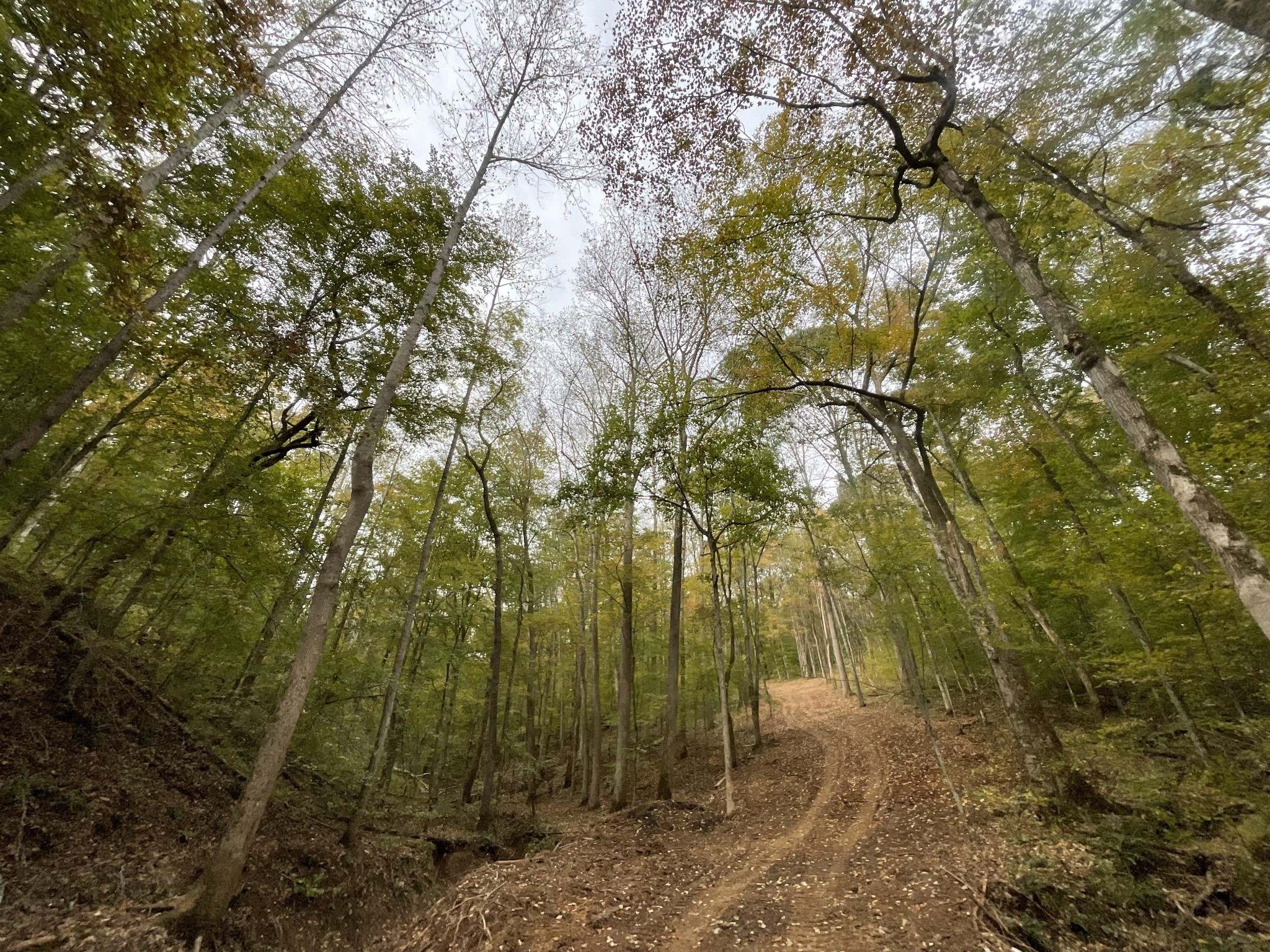 1 Budds Creek Road Palmyra TN 37142