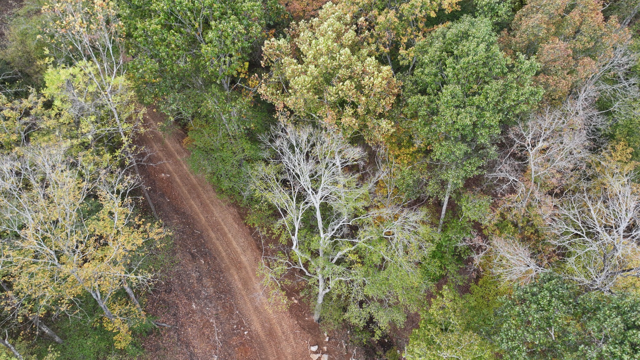 1 Budds Creek Road Palmyra TN 37142