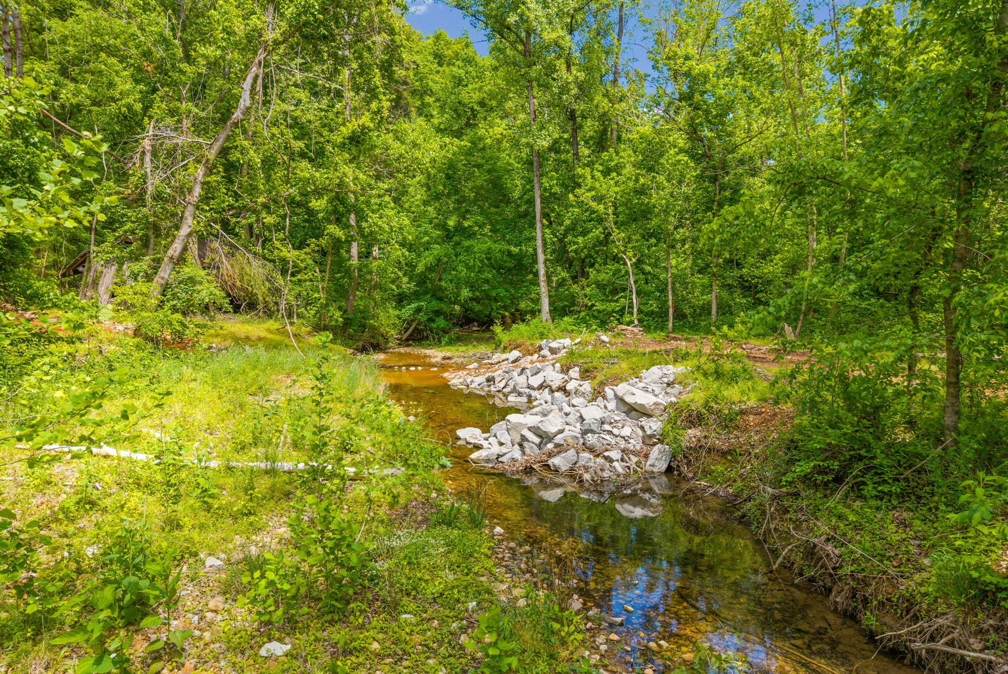 1 Budds Creek Road Palmyra TN 37142