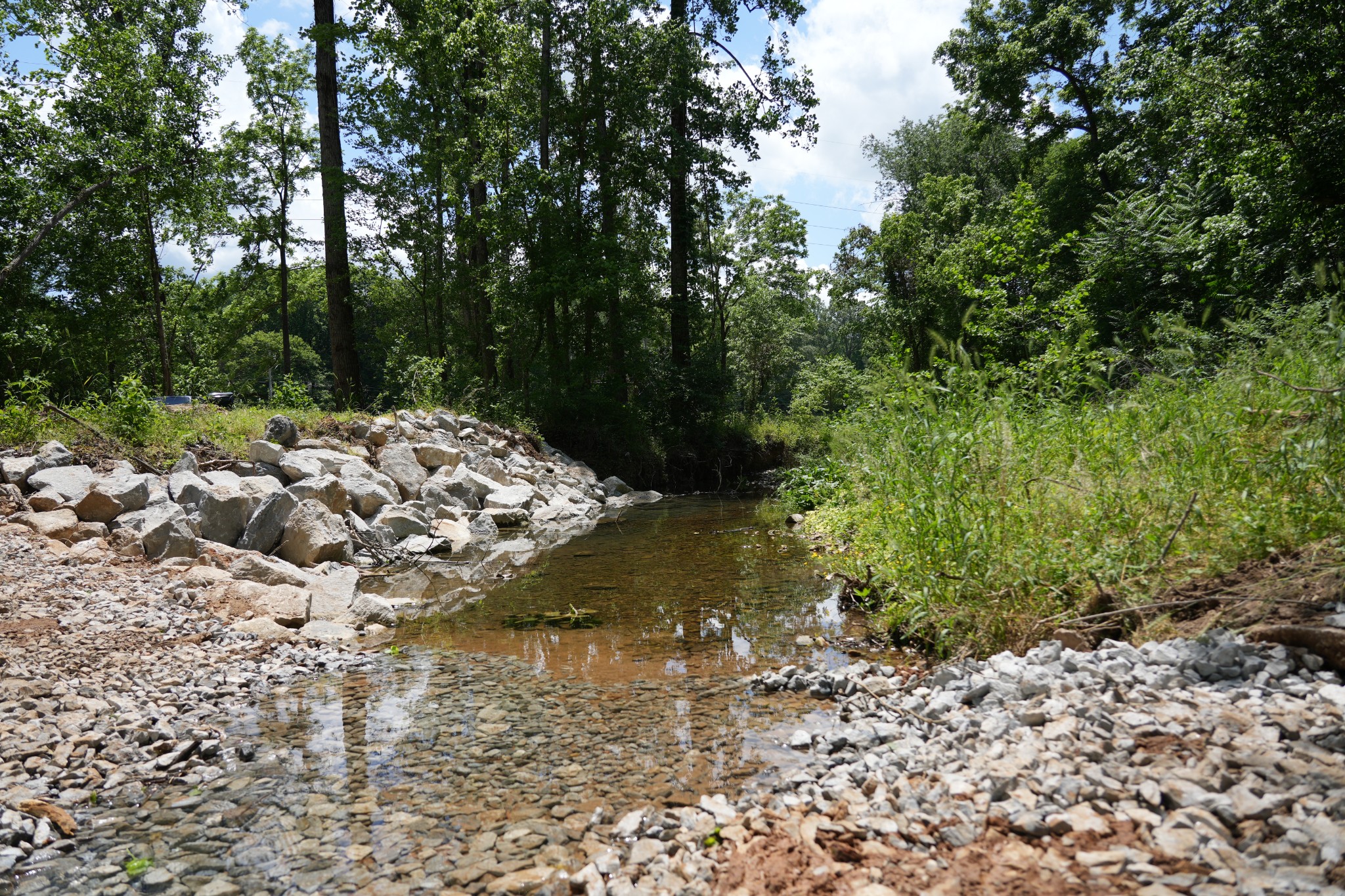 1 Budds Creek Road Palmyra TN 37142