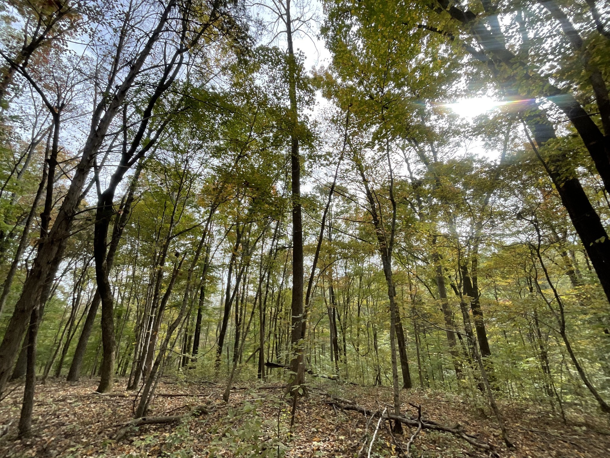1 Budds Creek Road Palmyra TN 37142