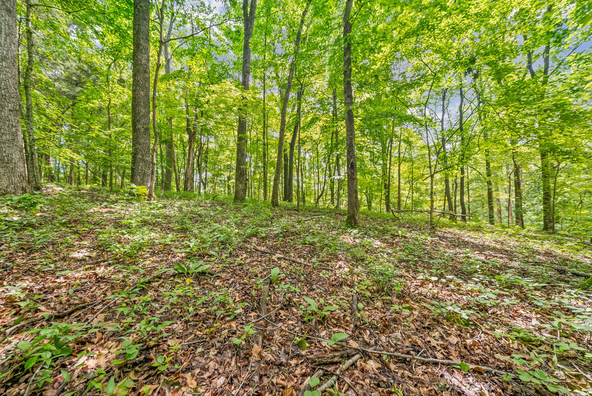 1 Budds Creek Road Palmyra TN 37142
