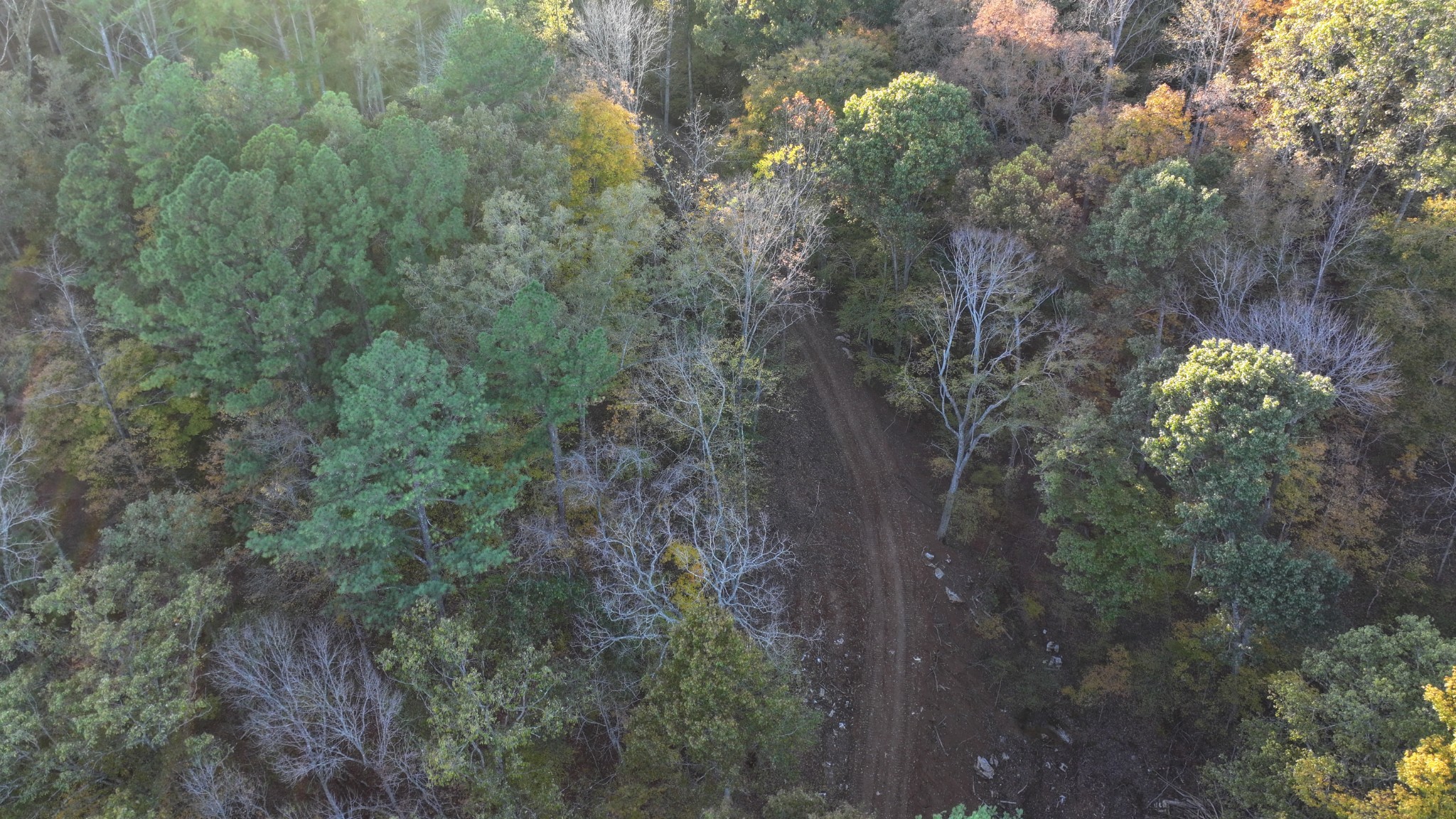 1 Budds Creek Road Palmyra TN 37142