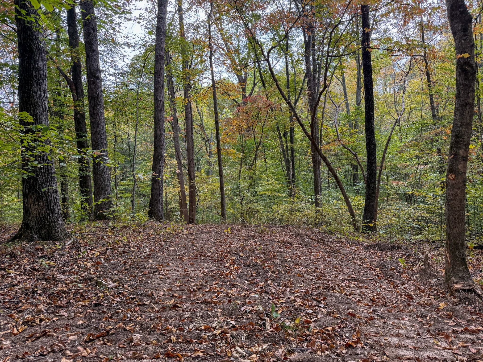 1 Budds Creek Road Palmyra TN 37142