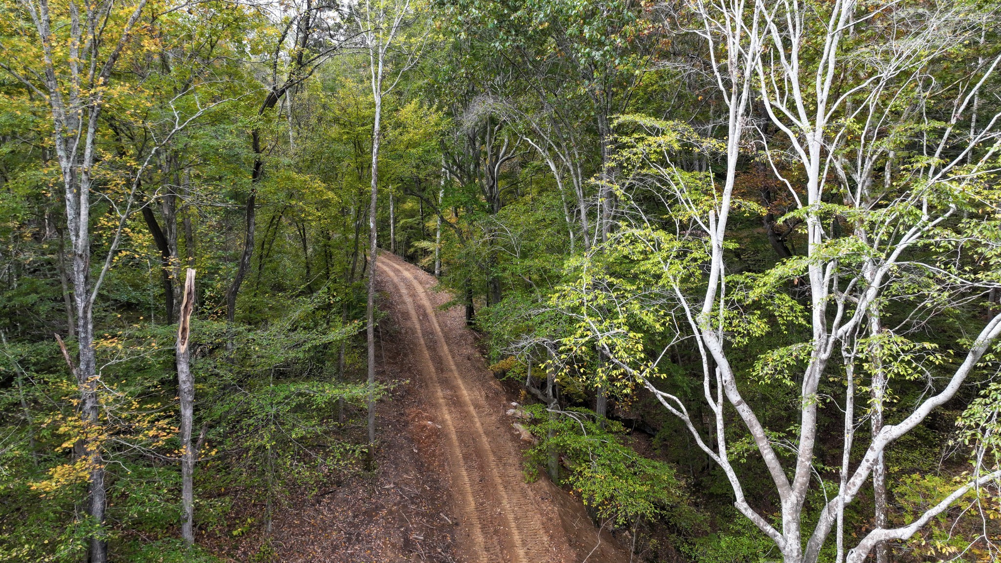 1 Budds Creek Road Palmyra TN 37142