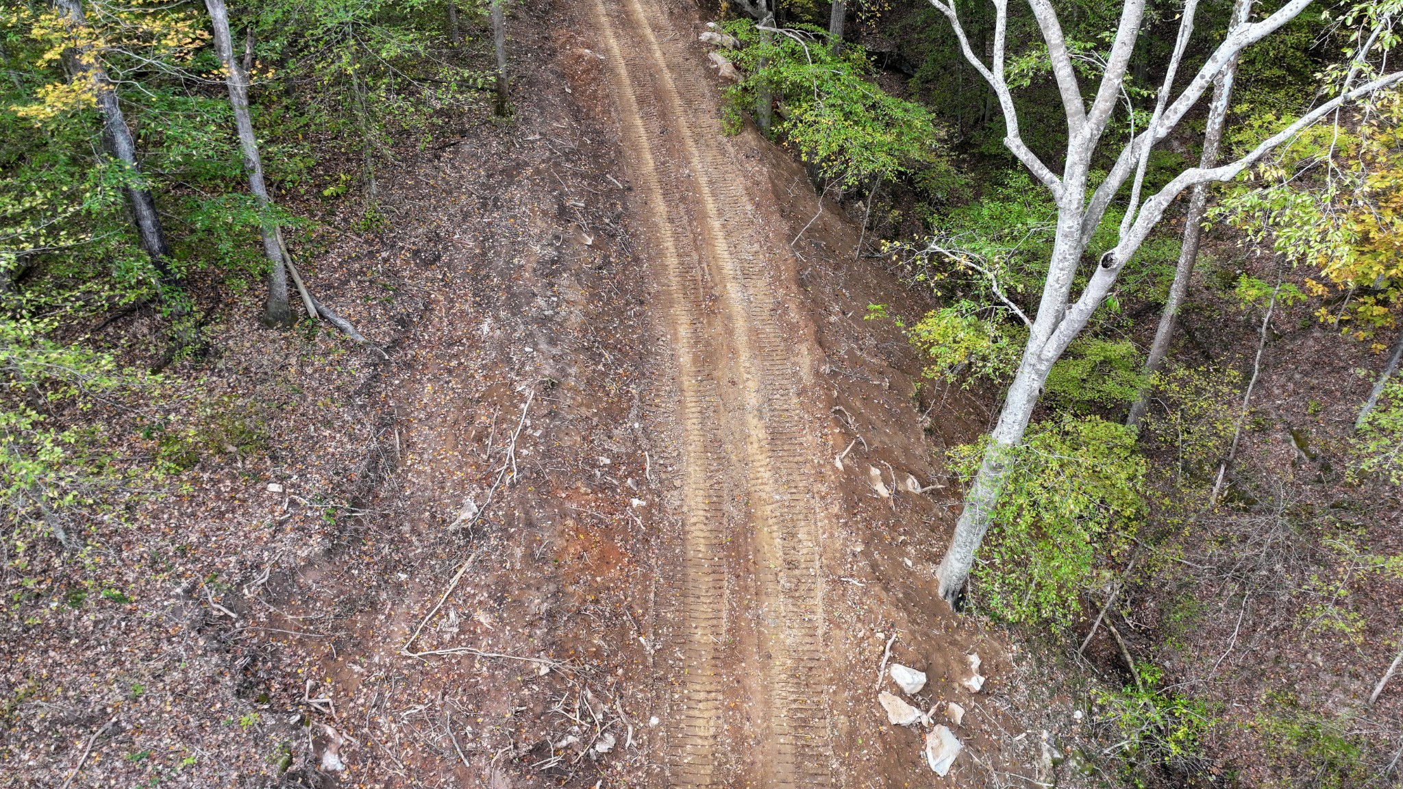 1 Budds Creek Road Palmyra TN 37142