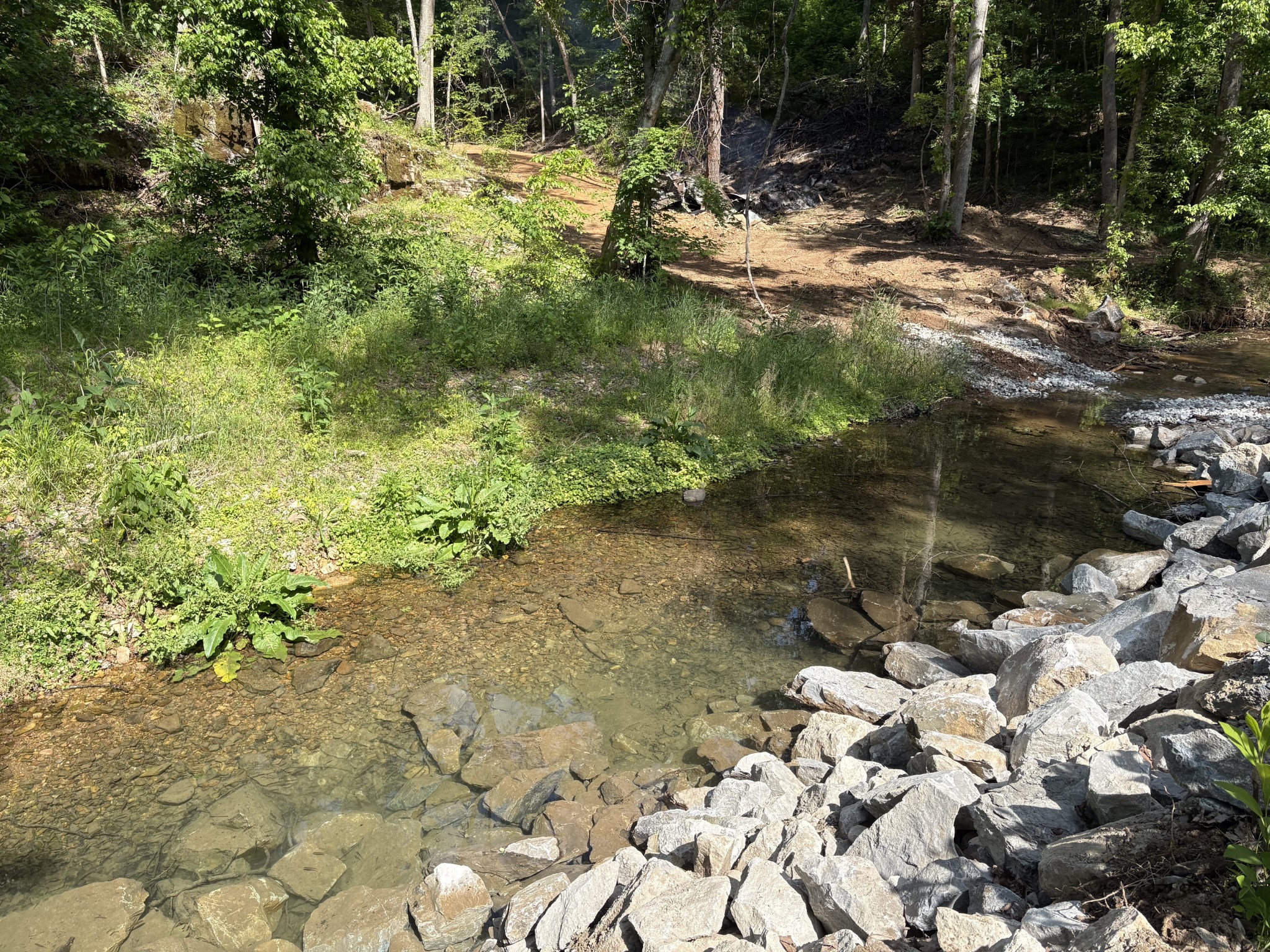1 Budds Creek Road Palmyra TN 37142