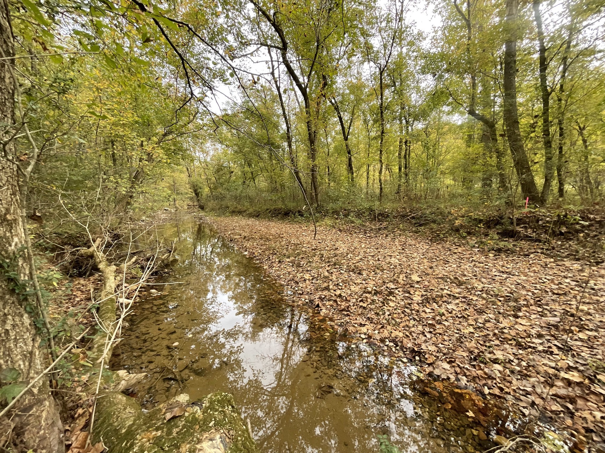 1 Budds Creek Road Palmyra TN 37142