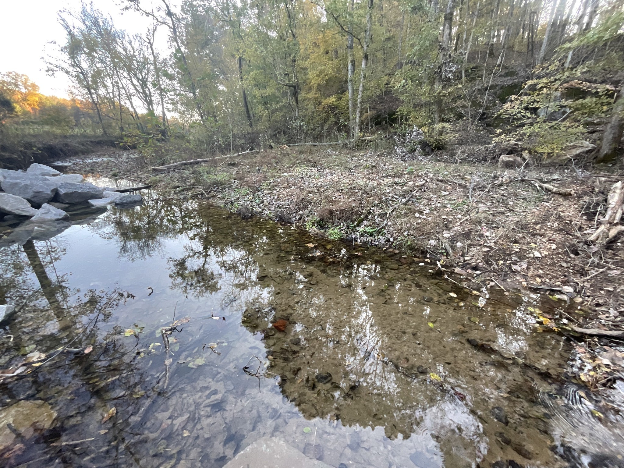 1 Budds Creek Road Palmyra TN 37142