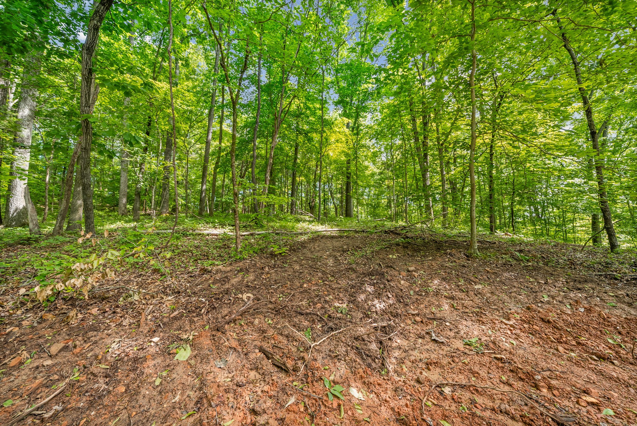 1 Budds Creek Road Palmyra TN 37142