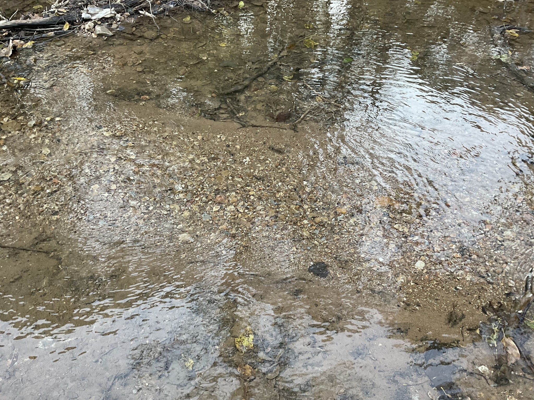 1 Budds Creek Road Palmyra TN 37142