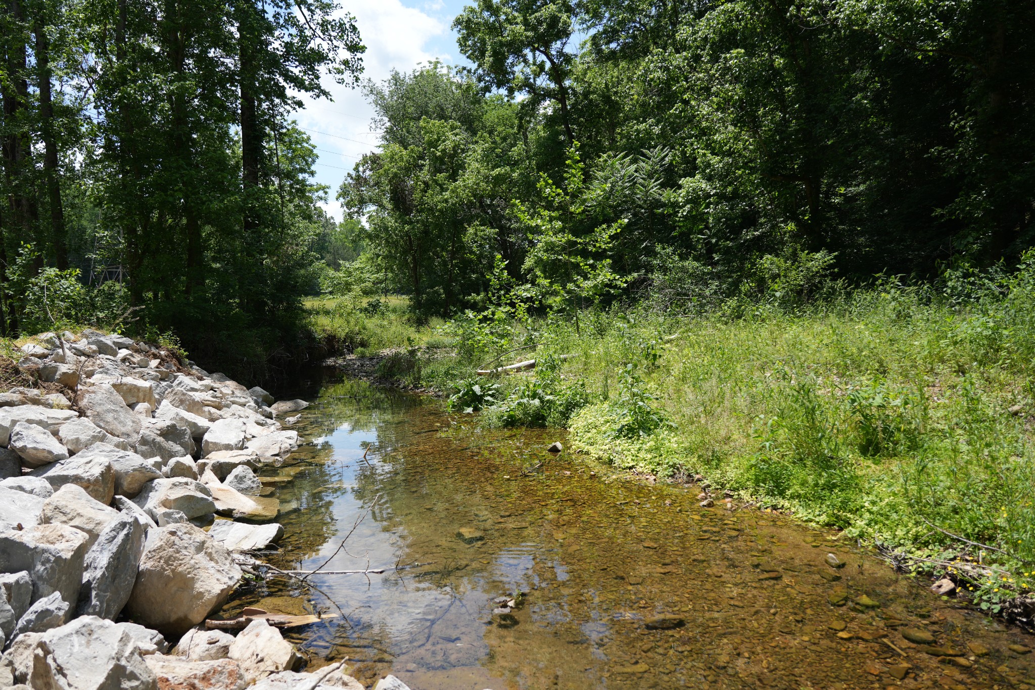 1 Budds Creek Road Palmyra TN 37142