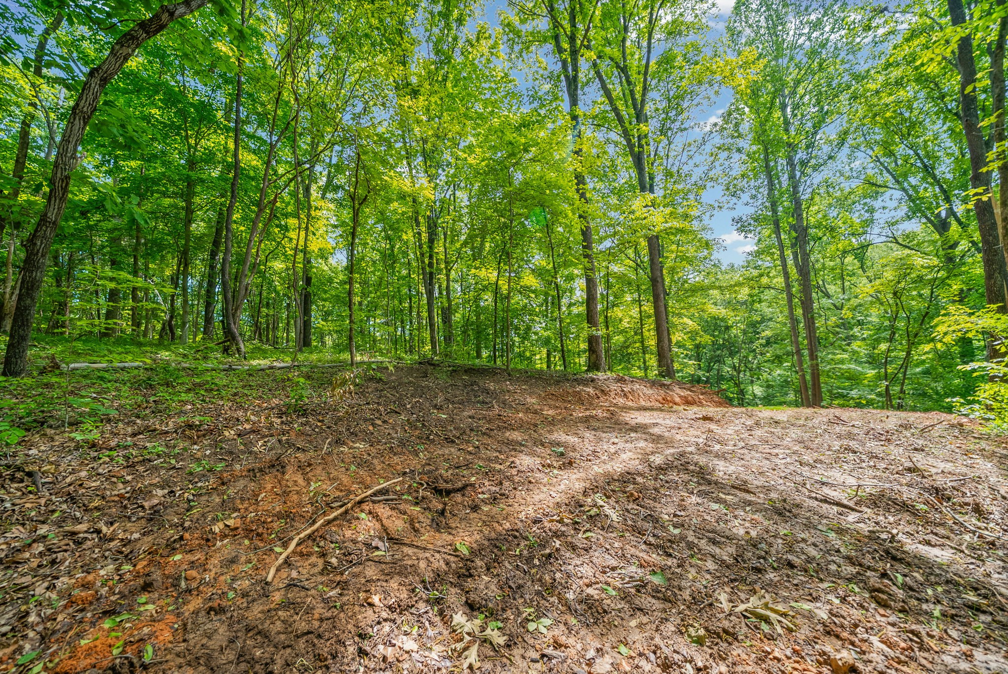 1 Budds Creek Road Palmyra TN 37142