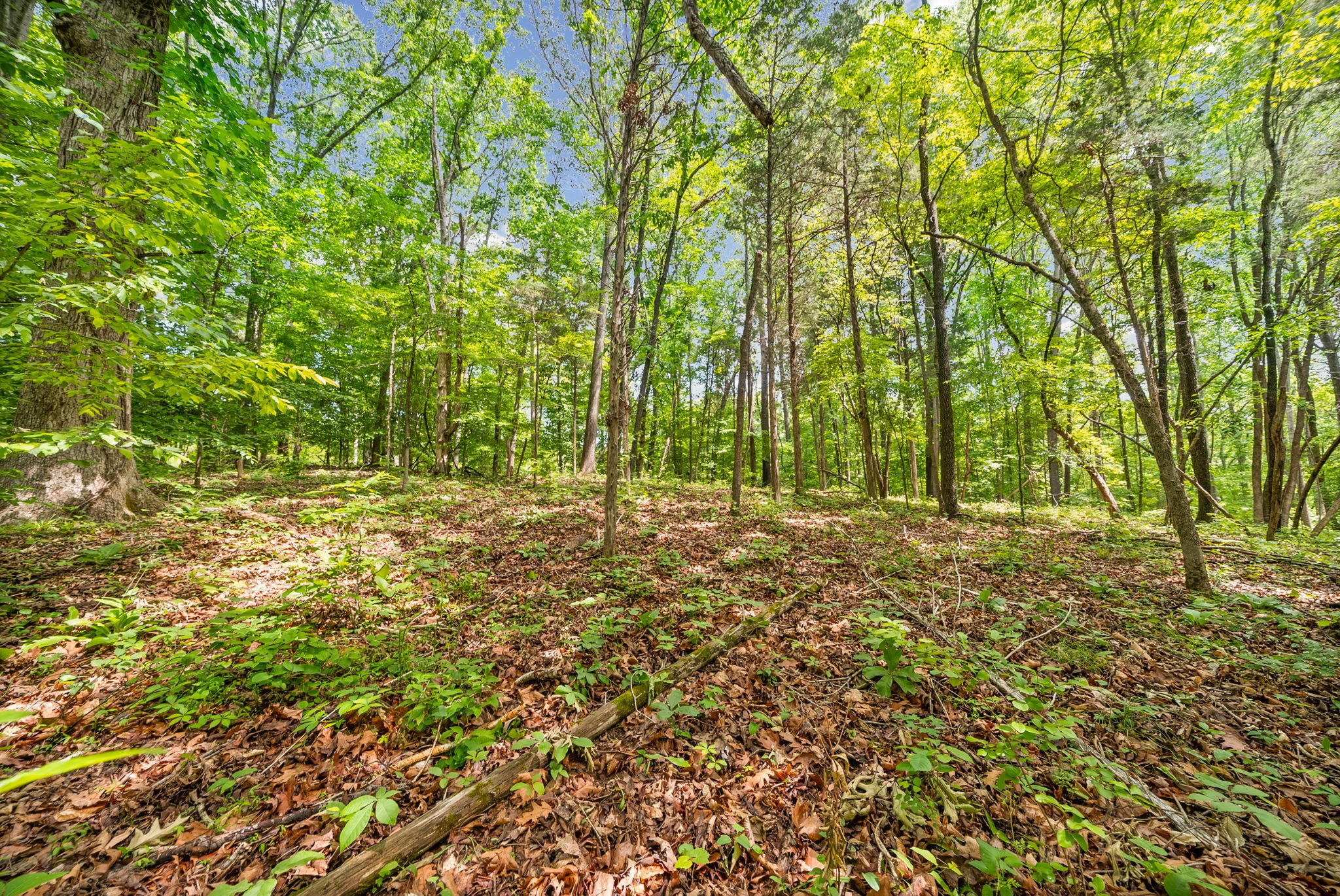 1 Budds Creek Road Palmyra TN 37142