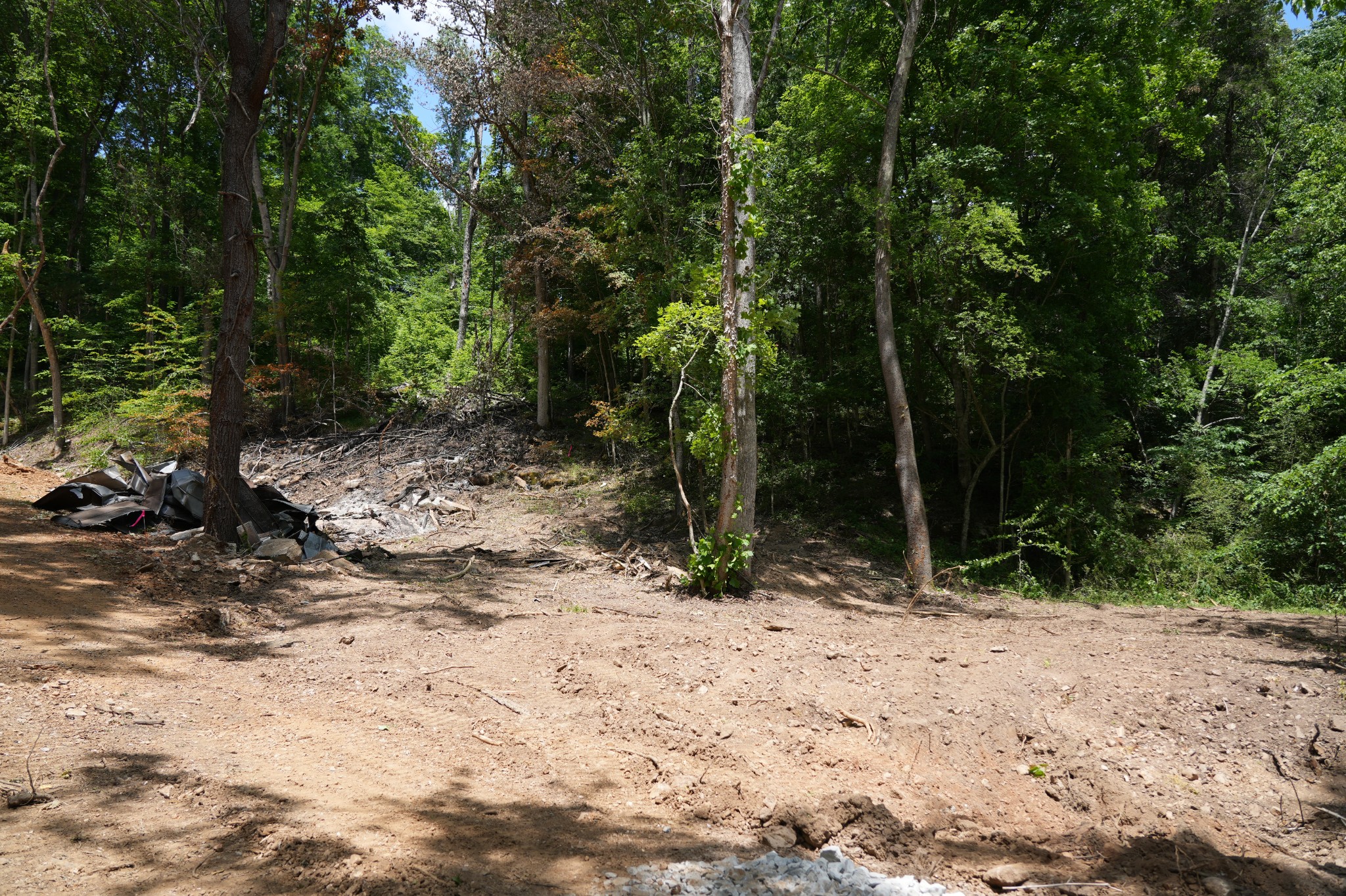 1 Budds Creek Road Palmyra TN 37142