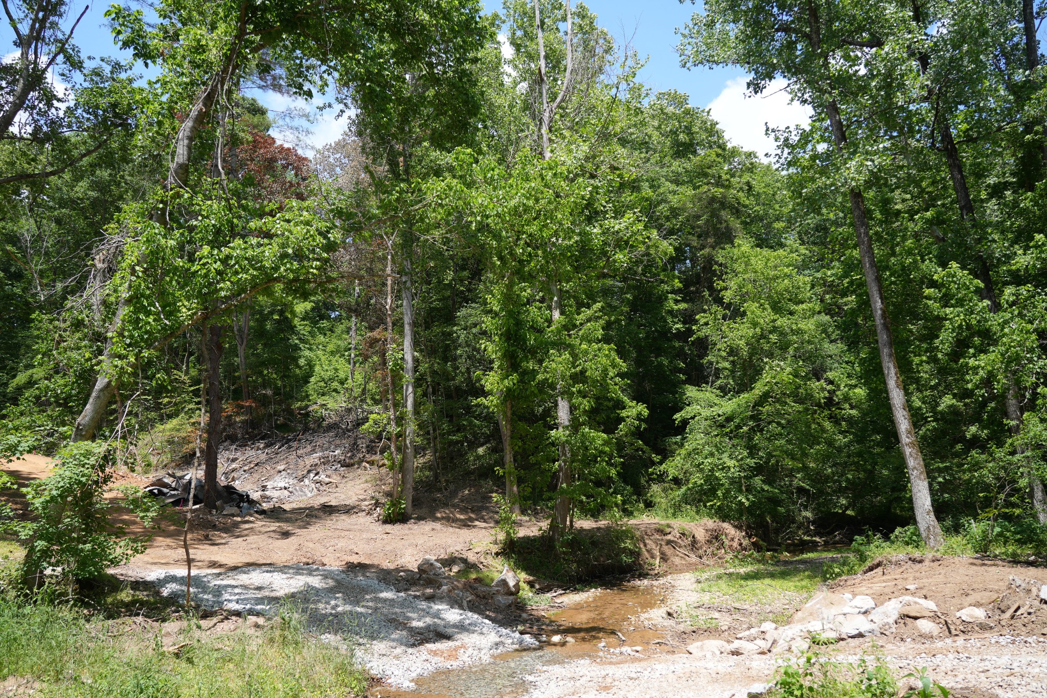 1 Budds Creek Road Palmyra TN 37142