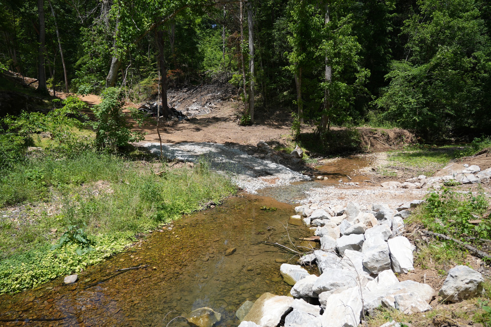 1 Budds Creek Road Palmyra TN 37142