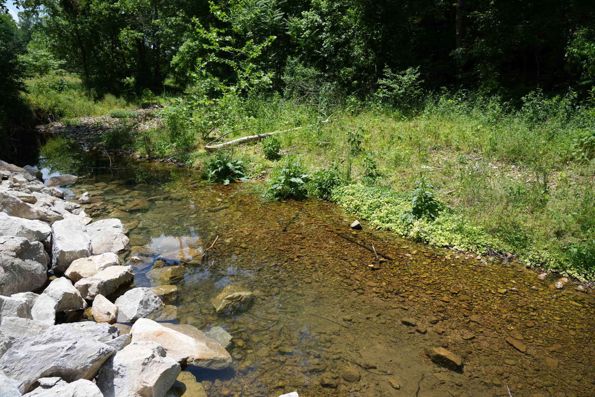 1 Budds Creek Road Palmyra TN 37142