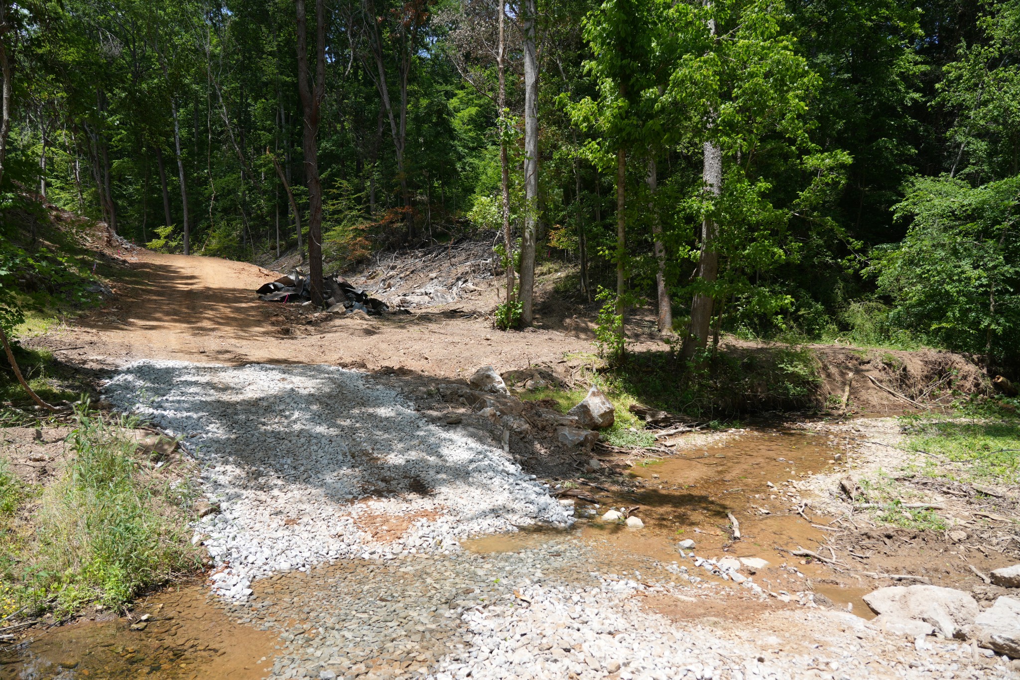 1 Budds Creek Road Palmyra TN 37142