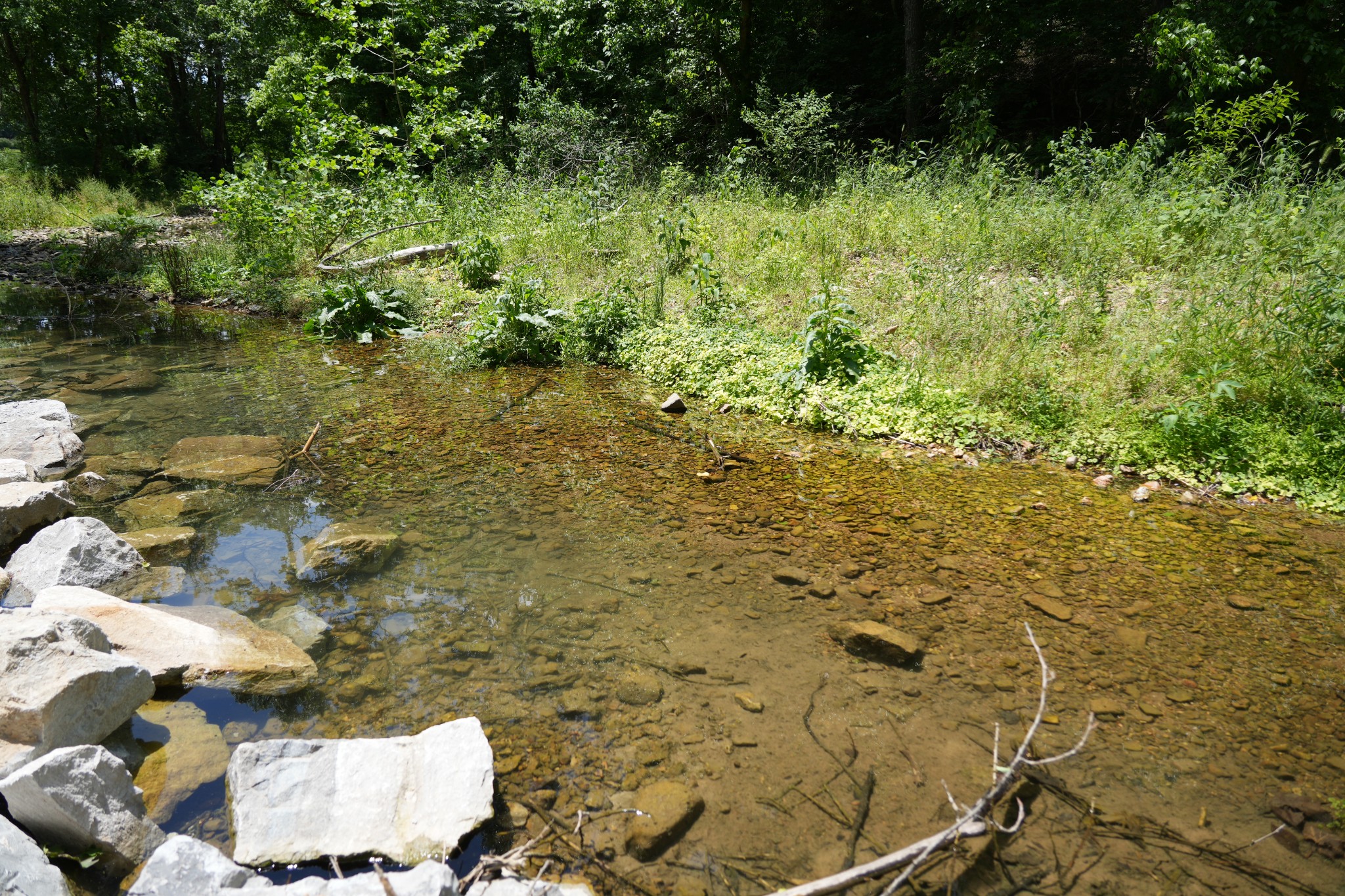 1 Budds Creek Road Palmyra TN 37142