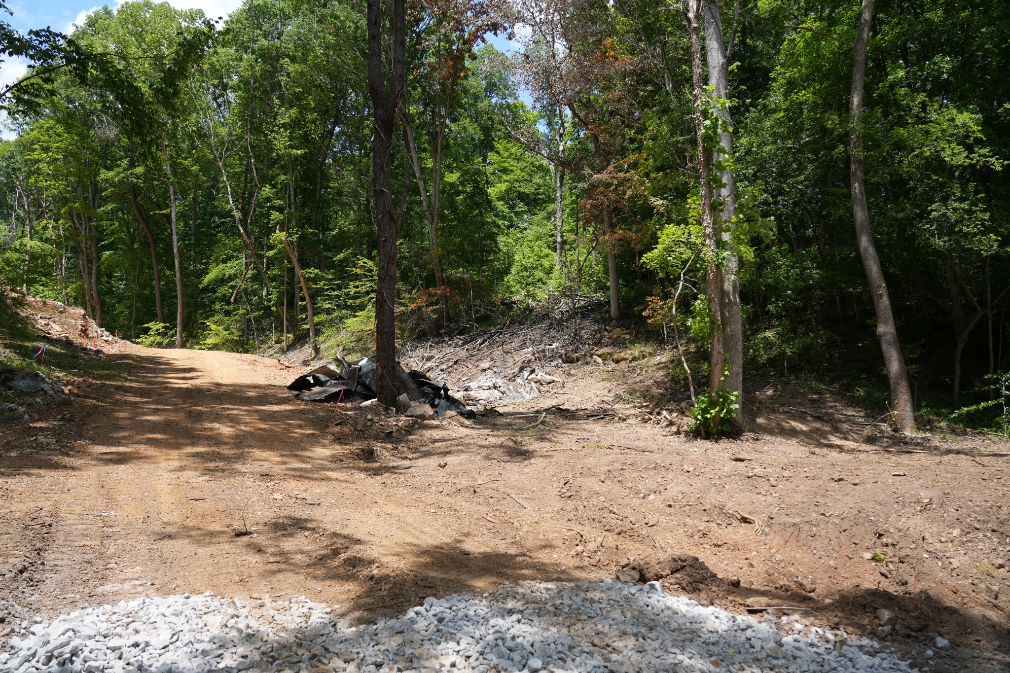 1 Budds Creek Road Palmyra TN 37142