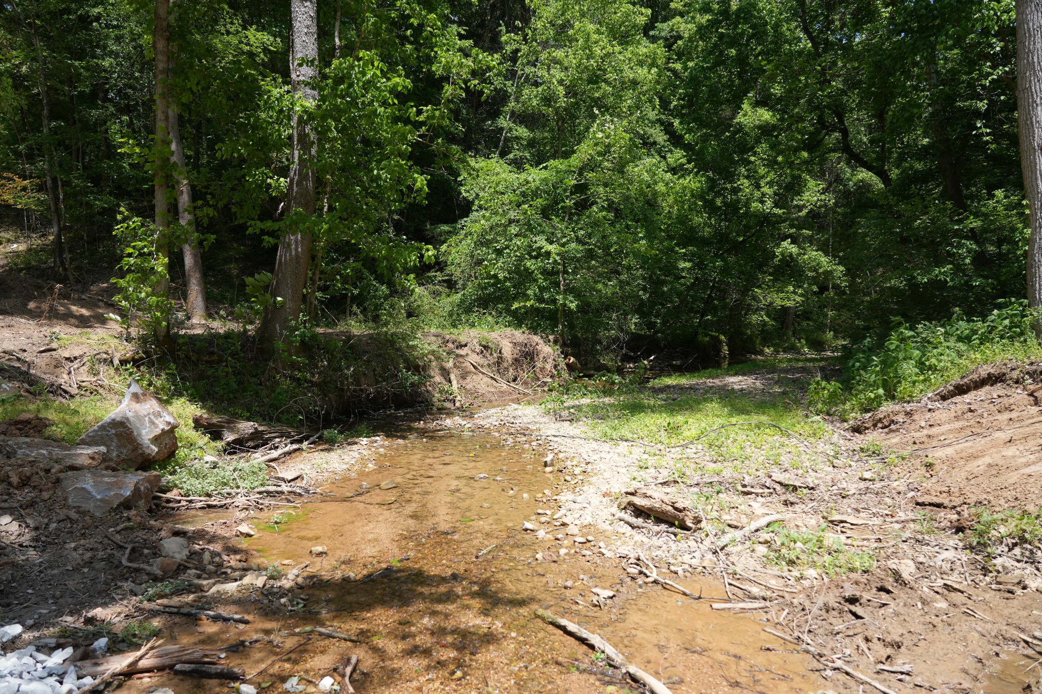 1 Budds Creek Road Palmyra TN 37142