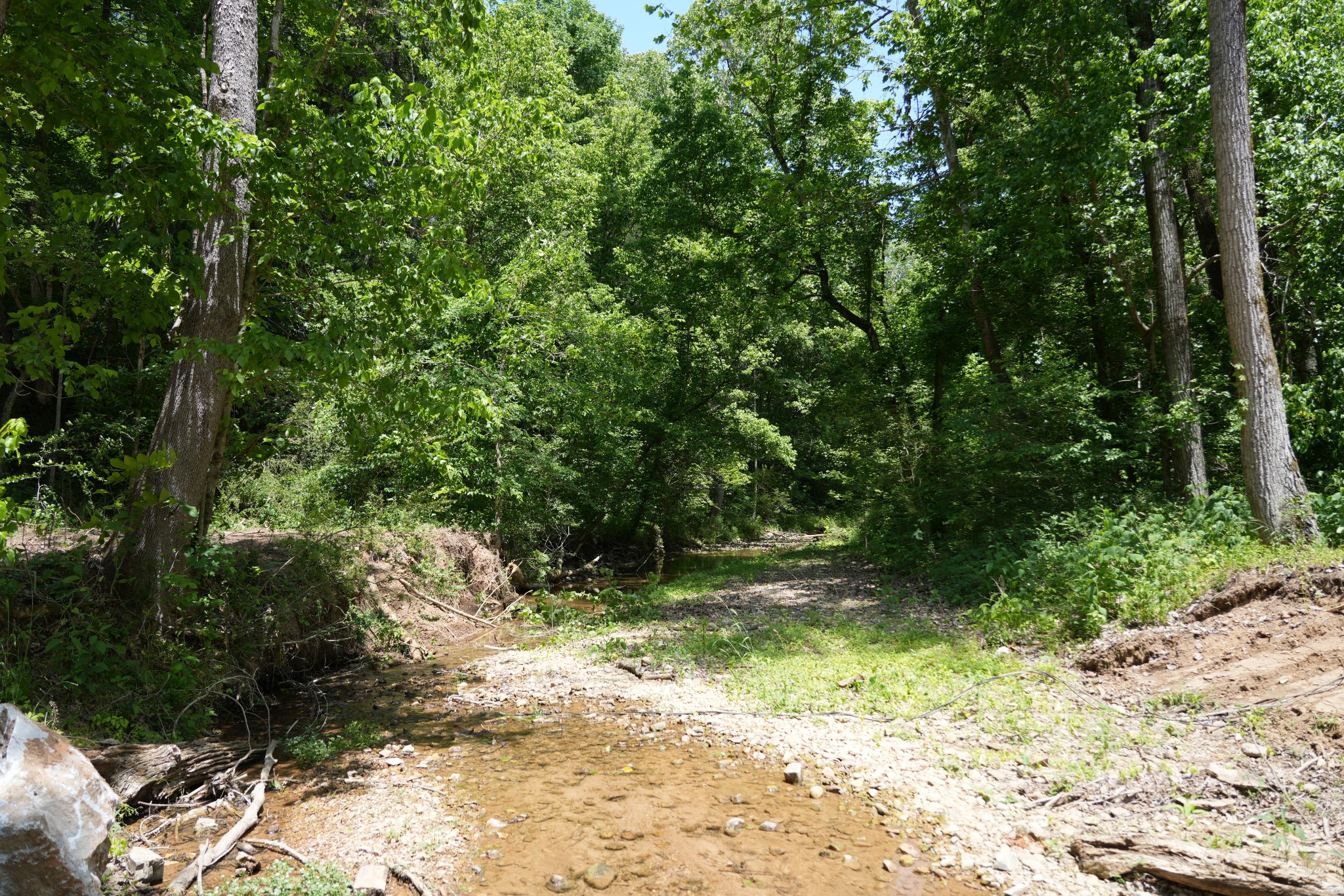 1 Budds Creek Road Palmyra TN 37142