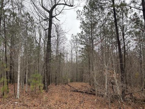 3699 Crockett Pointe Jasper TN 37347