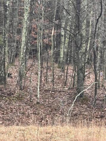 3699 Crockett Pointe Jasper TN 37347