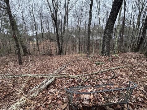 3699 Crockett Pointe Jasper TN 37347