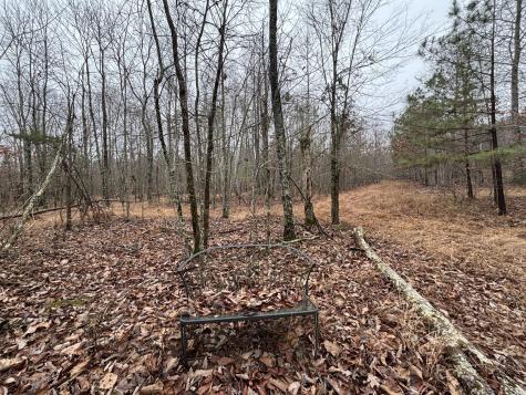 3699 Crockett Pointe Jasper TN 37347