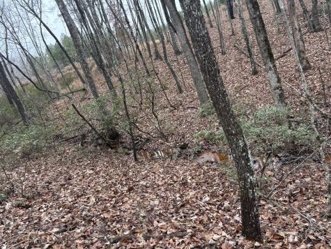 3699 Crockett Pointe Jasper TN 37347