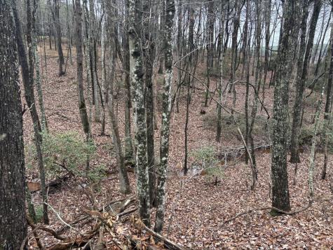 3699 Crockett Pointe Jasper TN 37347