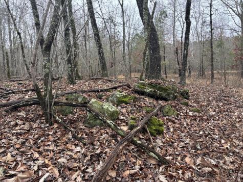 3699 Crockett Pointe Jasper TN 37347