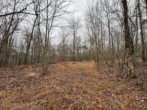 3699 Crockett Pointe Jasper TN 37347