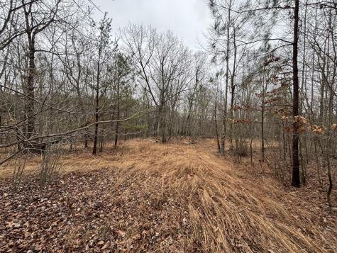 3699 Crockett Pointe Jasper TN 37347